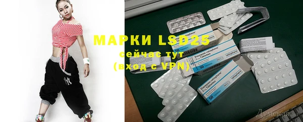 ПСИЛОЦИБИНОВЫЕ ГРИБЫ Баксан