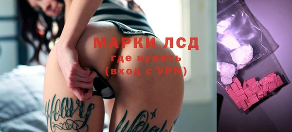 ПСИЛОЦИБИНОВЫЕ ГРИБЫ Баксан