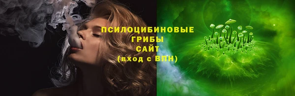 ПСИЛОЦИБИНОВЫЕ ГРИБЫ Баксан