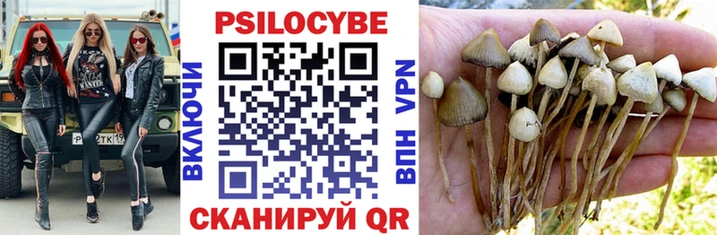 Псилоцибиновые грибы GOLDEN TEACHER Красноуральск